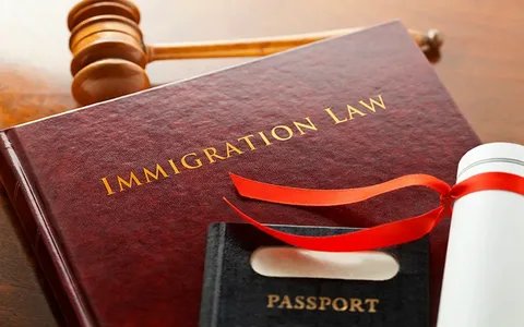 Immigration Lawyer SEO
