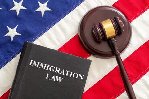 Immigration Attorney SEO Services – Get More Clients for Your Immigration Law Firm